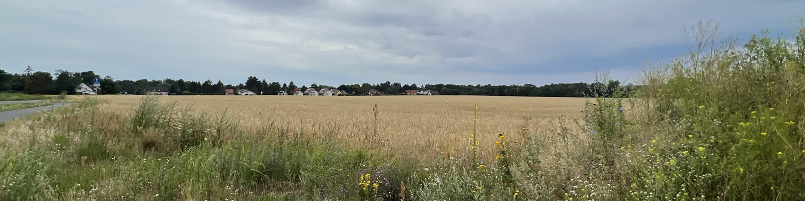 Noch Acker: Das Grundstück der Familie Kümpel in Stahnsdorf