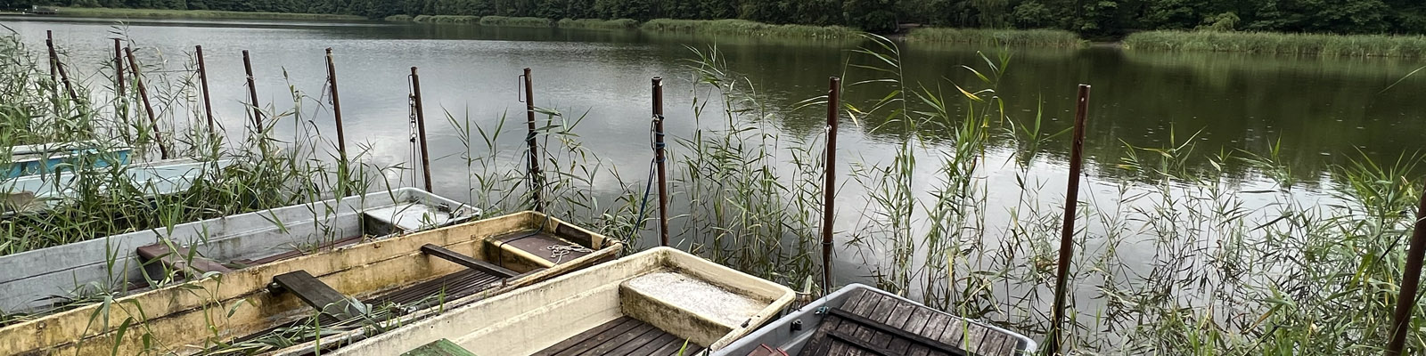 Güterfelder Haussee Ende Juli 2023